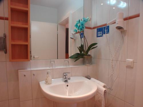 Imagen de la habitación del Hotel Rotenberg PT. Foto 5