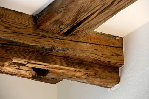 Imagen de la habitación del Hotel Roter Ochsen. Foto 7