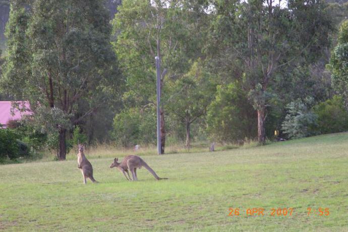 Imagen general del Hotel Rothbury Escape Guesthouse. Foto 6