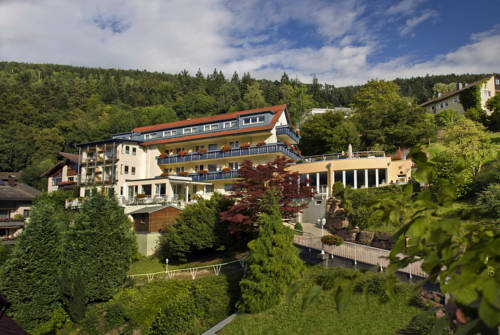 Imagen general del Hotel Rothfuss. Foto 1
