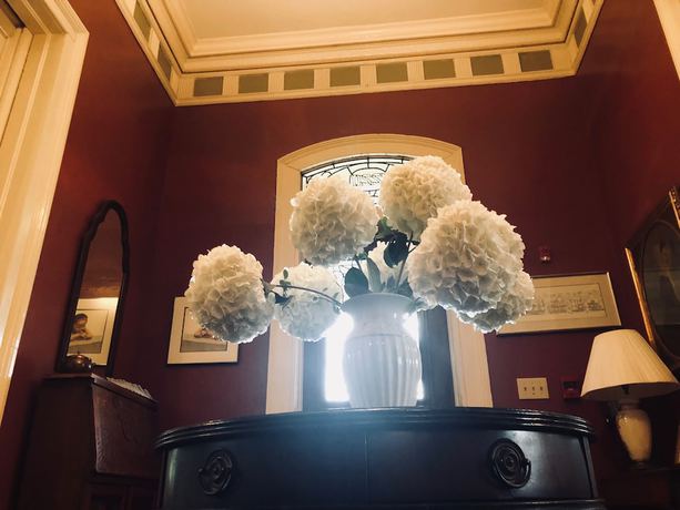 Imagen de los interiores del Hotel Rothschild-Pound House Inn. Foto 20