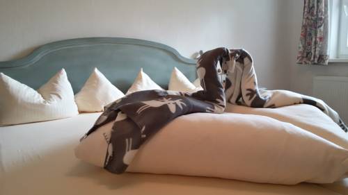 Imagen de la habitación del Hotel Rotlechhof. Foto 8