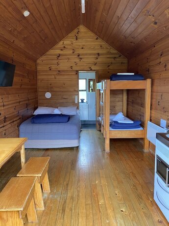 Imagen de la habitación del Hotel Rotorua Thermal Holiday Park. Foto 20