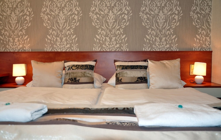 Imagen de la habitación del Hotel Roudna. Foto 11