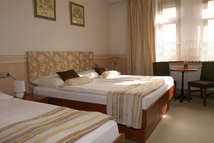 Imagen de la habitación del Hotel Roudna. Foto 14