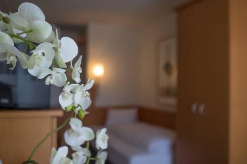 Imagen de la habitación del Hotel R&ouml;ssli Hurden. Foto 8