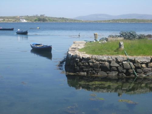 Imagen general del Hotel Roundstone House. Foto 3