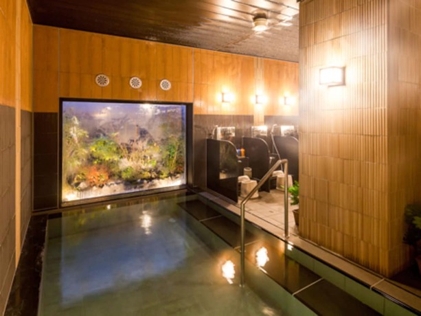 Imagen de la piscina del Hotel Route Inn Higashi Hiroshima Saijo Ekimae. Foto 11