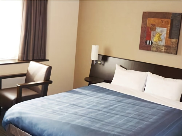 Imagen de la habitación del Hotel Route Inn Hikone. Foto 6
