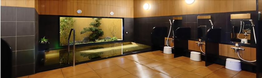 Imagen de los interiores del Hotel Route Inn Toyota Motomachi. Foto 14