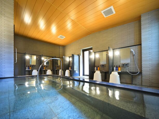 Imagen de la piscina del Hotel Route Tsukuba. Foto 31