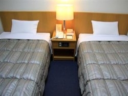 Imagen de la habitación del Hotel Route-inn Sapporo Shiroishi. Foto 2