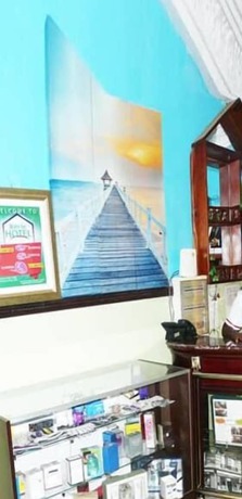 Imagen de los interiores del Hotel Rovie. Foto 8