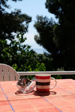 Imagen de los exteriores del Hotel Rovies. Foto 15