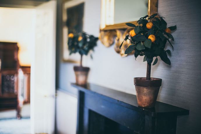 Imagen de la habitación del Hotel Rowton Castle. Foto 11