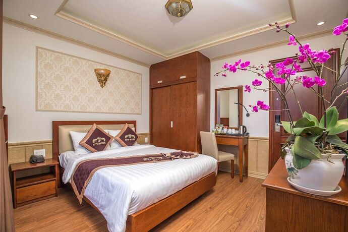 Imagen general del Hotel Roy Dala. Foto 6