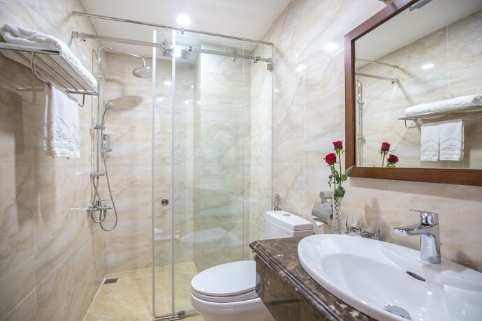 Imagen de la habitación del Hotel Roy Dala. Foto 18