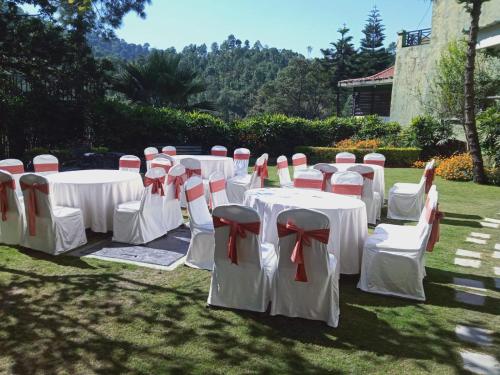 Imagen general del Hotel Royal Ark. Foto 4