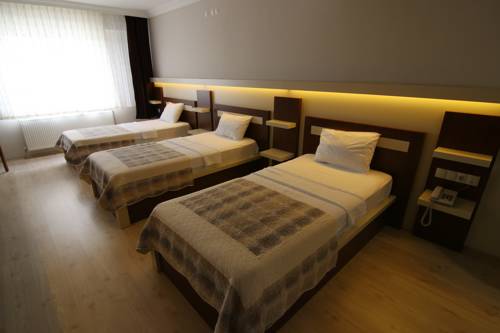 Imagen de la habitación del Hotel Royal Bilgic. Foto 2