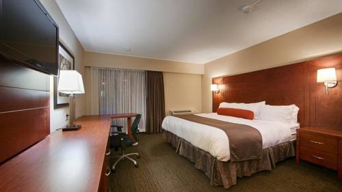 Imagen de la habitación del Hotel Royal Brock. Foto 8
