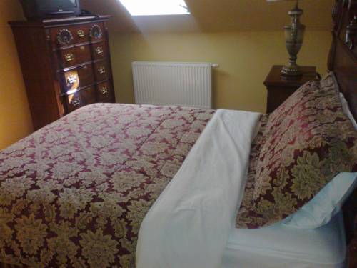 Imagen de la habitación del Hotel Royal, CHOMUTOV. Foto 8