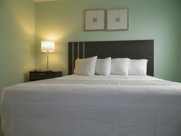 Imagen de la habitación del Hotel Royal Canadian Motel. Foto 15