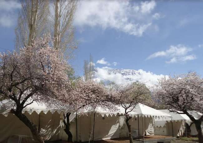 Imagen general del Hotel Royal Deluxe Camp. Foto 11