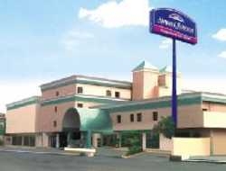 Imagen general del Hotel Royal Garden Reynosa. Foto 3