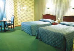 Imagen general del Hotel Royal Garden Reynosa. Foto 4