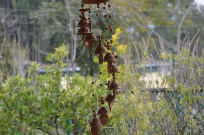 Imagen del bar/restaurante del Hotel Royal Green Buds. Foto 15