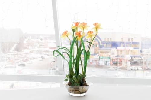Imagen de la habitación del Hotel Royal Hotel, Irkutsk. Foto 3