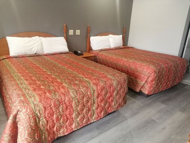 Imagen de la habitación del Hotel Royal Inn and Suite. Foto 14