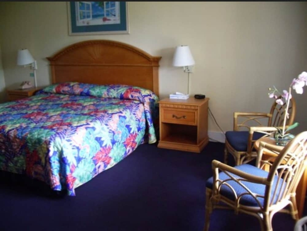 Imagen de la habitación del Hotel Royal Islander. Foto 12