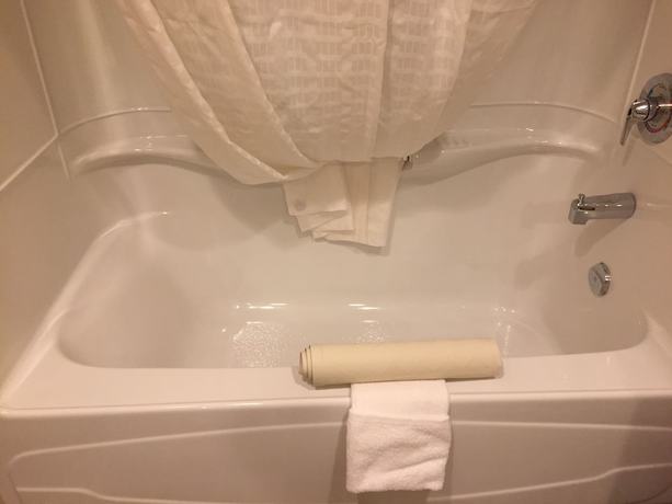 Imagen de la habitación del Hotel Royal, Lloydminster. Foto 7