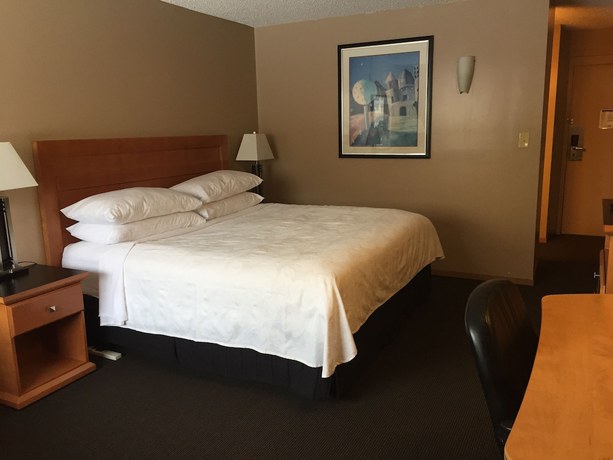 Imagen de la habitación del Hotel Royal, Lloydminster. Foto 8