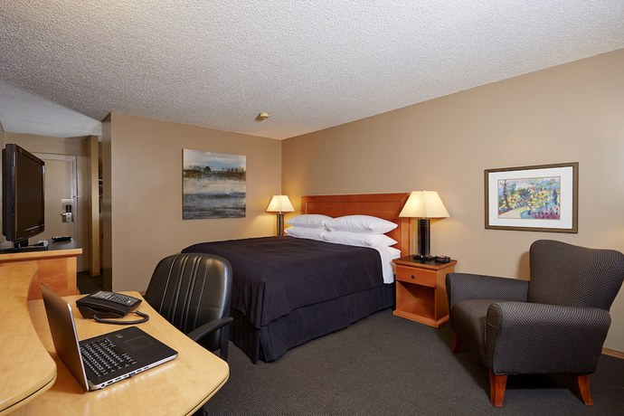 Imagen de la habitación del Hotel Royal, Lloydminster. Foto 14