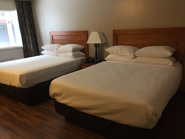 Imagen de la habitación del Hotel Royal, Lloydminster. Foto 16