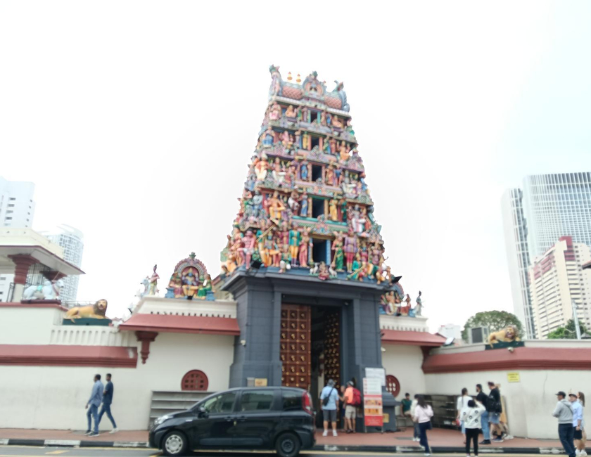 Imagen general del Hotel Royal Lodge @ Pagoda Street. Foto 11