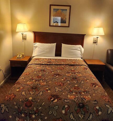 Imagen de la habitación del Hotel Royal Motel. Foto 15