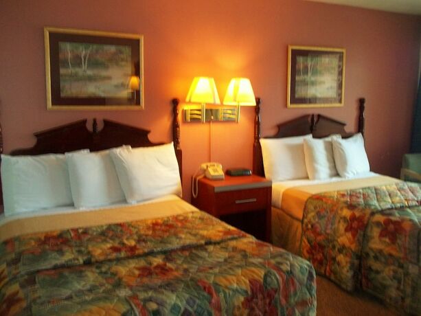 Imagen general del Hotel Royal Motel. Foto 6