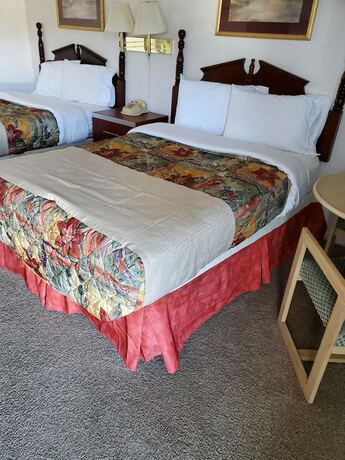 Imagen de la habitación del Hotel Royal Motel. Foto 17