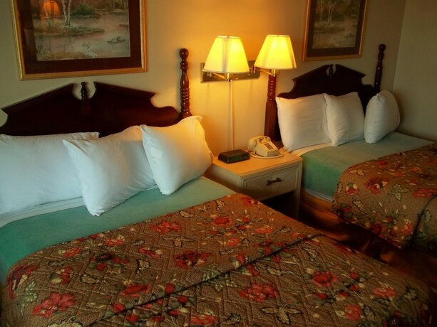 Imagen general del Hotel Royal Motel. Foto 10