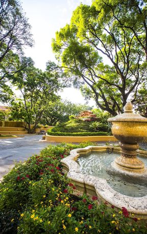 Imagen del bar/restaurante del Hotel Royal Oasis. Foto 9