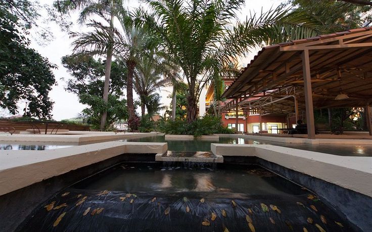 Imagen del bar/restaurante del Hotel Royal Oasis. Foto 11