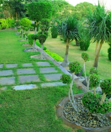 Imagen de los exteriores del Hotel Royal Ocean Resort. Foto 7