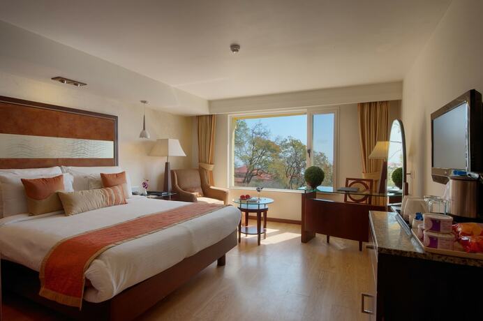 Imagen de la habitación del Hotel Royal Orchid Fort Resort. Foto 21