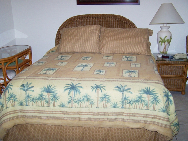 Imagen de la habitación del Hotel Royal Orleans. Foto 3