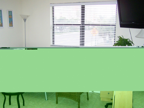 Imagen de los interiores del Hotel Royal Orleans. Foto 11