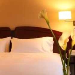 Imagen general del Hotel Royal Park Hotel. Foto 4
