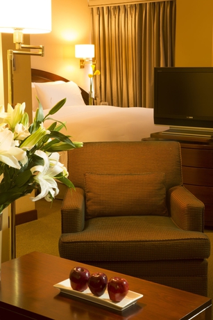 Imagen de la habitación del Hotel Royal Park Lima. Foto 8